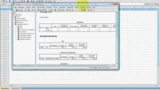 SPSS VideoSeminar  Teil 5 Dateneingabe  Aufgabenblatt Fragebogen A Eingabe [upl. by Atte]