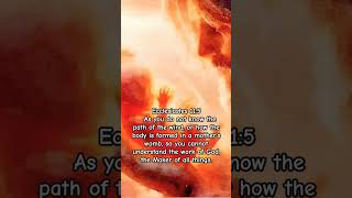 Ecclesiastes 115  As you do not know how the body is formed in a mothers womb [upl. by Bock]