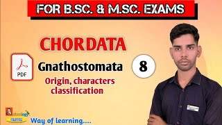 Gnathostomata Origin character and classification  Class8 For Bsc and MSc By Ajay kumar [upl. by Munroe217]