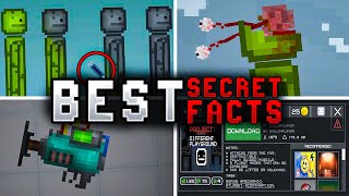 BEST SECRET FACTS IN MELON PLAYGROUND [upl. by Ecyt]