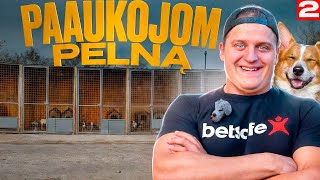 ROLANDAS Paaukojom visą pelną 2 dalis [upl. by Redmund]