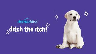 Dermabliss™ Allergy amp Immune Supplement for Dogs [upl. by Dlaner]