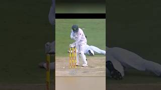 How Honey Bee Saves A Batsman [upl. by Ociral]