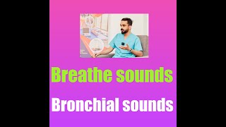 Breath sounds  Bronchial and vesicular sounds  Crepts  Wheeze  Respiratory System  MEDICINE [upl. by Latreece]