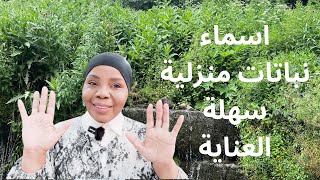 اسماء 10 نباتات منزلية سهلة العناية [upl. by Cad]