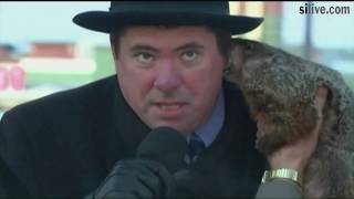 Groundhog Day fails 5 times things went horribly wrong [upl. by Cantu]