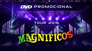 Magnificos Ao Vivo no Classic Hall  DVD Promocional 2016 [upl. by Nolyk647]