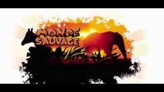 Monde sauvage dAywaille [upl. by Aileve]