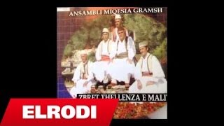 Ansambli Miqesia Gramsh  Gorrica me gjemba [upl. by Sesiom]