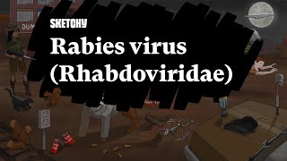 Rabies Virus Rhabdoviridae Pathogenesis and Prevention Part 1  Sketchy Medical  USMLE Step 1 [upl. by Coralie]