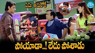 Pokiri Movie Back To Back Comedy Action Scenes  iDream Kadapa [upl. by Euqcaj]