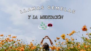 Llamas Gemelas y la meditación [upl. by Adnerak]