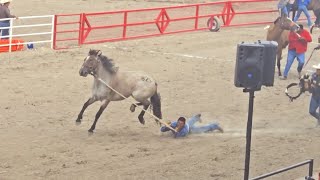 Cheyenne Frontier Days 2024 Summers in Wyoming [upl. by Hadwin]