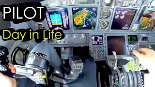 A Day in Life as an Airline Pilot  The Awesome Trip on B737 Motivation HD [upl. by Kleeman926]