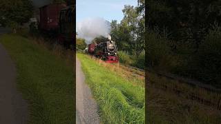 99 7240 mit Rollwagen auf der Harzquerbahn im Sonnenaufgang 😊 [upl. by Billen]