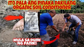 Alamin PinakaMalakas na Organic Soil Conditioner  Land Preparation amp Basal Fertilizer [upl. by Dias]