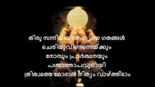 Thaathanumathupol Aathmajanum  Syro Malabar Mass Song Karoake [upl. by Ebenezer]