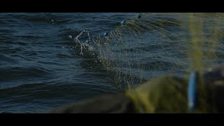 Commercial Fishing Lake Winnipeg setting nets [upl. by Wat282]