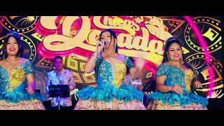 CHICAS DORADAS  Somos Culpables  Concierto En Vivo 2024  Huayno Con Requinto Peruano [upl. by Werdnael]