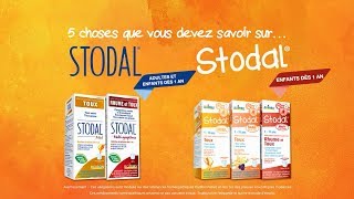 5 choses que vous devez savoir sur Stodal [upl. by Cummins]