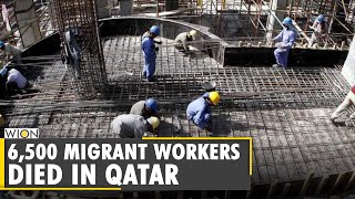 Qatar Inhumane conditions of Migrant workers  6500 migrant workers have died Latest English News [upl. by Gadmann]