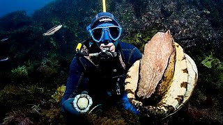 Biggest Abalones Ever Found [upl. by Enelehs]