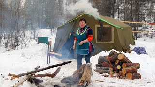 north nomad family routine in a forest tent in wilderness [upl. by Scandura]