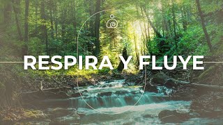 🌿🌿 Respira y Fluye  Naturaleza y Paz para Relajarte🌿🌿 [upl. by Akinej]