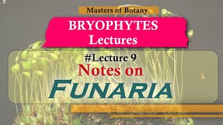 Lecture 9  Funaria Life Cycle Important Bryophytes  Bryophyta Lecture Notes [upl. by Karry]