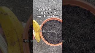 Composting 101 The Science of How Compost Breaks Down [upl. by Alonzo189]