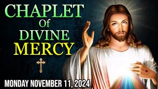 The Chaplet of Divine Mercy Monday November 11 2024 [upl. by Alleroif]