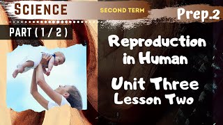 Science  Prep2  Unit 3 Lesson 2  Part 1  Reproduction in Human [upl. by Chara]