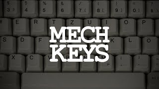 Mechanical Keyboards A Brief Introduction [upl. by Merrile]