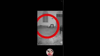 💪 verma ♥️ is live My best friend bhut live camera recoding hai 💀👻 [upl. by Narhem135]