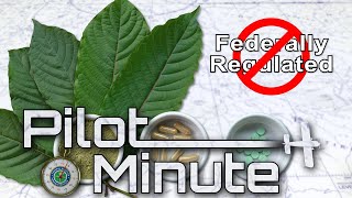 Pilot Minute Why should I be concerned about herbal remedies [upl. by Hough]