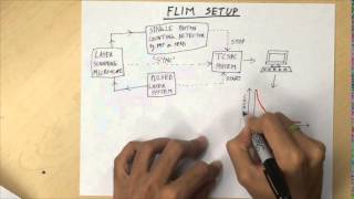 Fluorescence Lifetime Imaging Microscopy FLIM  Overview [upl. by Zedecrem109]