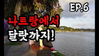 베트남여행 EP6 🖐️5성급 빈펄 베이 리조트 조식과 룸서비스는 어떨까  험난한 여정이 예고된 달랏 여행  달랏 5성급 리조트 아나 만다라 리조트 리뷰 [upl. by Ailaht451]