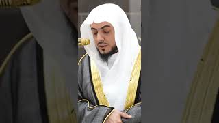 Masya Allah Beautiful Recitation Sheikh Waleed Al Shamsaan Surahs Duha amp Sharh [upl. by Akimrehs]