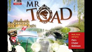 The Adventures of Mr Toad  LETS JUMP ABOARD [upl. by Friend]