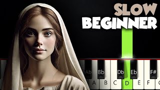 Mary Did You Know  SLOW BEGINNER PIANO TUTORIAL  SHEET MUSIC by Betacustic [upl. by Nathan]