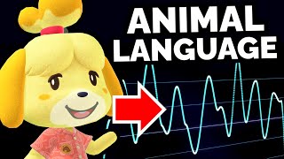 The hidden meaning behind the Animal Crossing language [upl. by Ninnahc375]