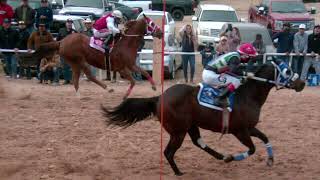 El Bull Terrier VS Tapado en 150yds [upl. by Gnaht]