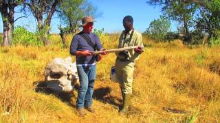 Okavango Delta Botswana [upl. by Rehpatsirhc399]