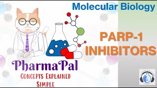 PARP1 Inhibitors ⚕️💊 [upl. by Aoniak]