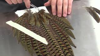 Flying Pheasant Complete Taxidermy Course step by step 5 Preparing the Tail [upl. by Fawcette172]