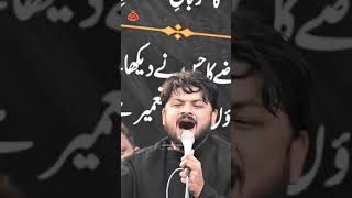 Alvida Ya HUSSAIN 💔😭 VIRALSHORTMOHDMEHNDI VIRAL [upl. by Asquith]