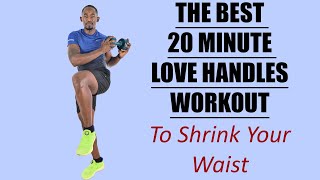 THE BEST 20 MINUTE LOVE HANDLES WORKOUT TO SHRINK YOUR WAIST [upl. by Artemisia646]