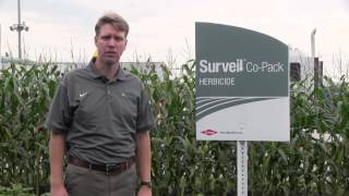 The benefits of preemergence herbicide on soybeans [upl. by Akerue]