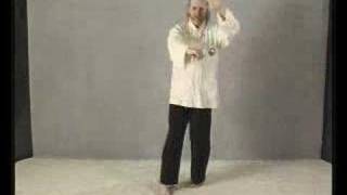 Part 19 Learn Tai Chi Free Long form Montaigue [upl. by Rogergcam760]