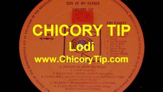 CHICORY TIP  LODI AUDIO [upl. by Ayres758]